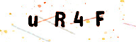 255431